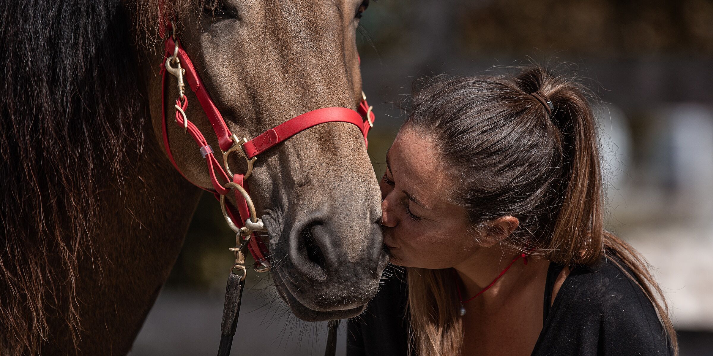Gesunde Haltung 2 Sandra Löckener Pferdetherapie Equines Asthma Pferdetraining