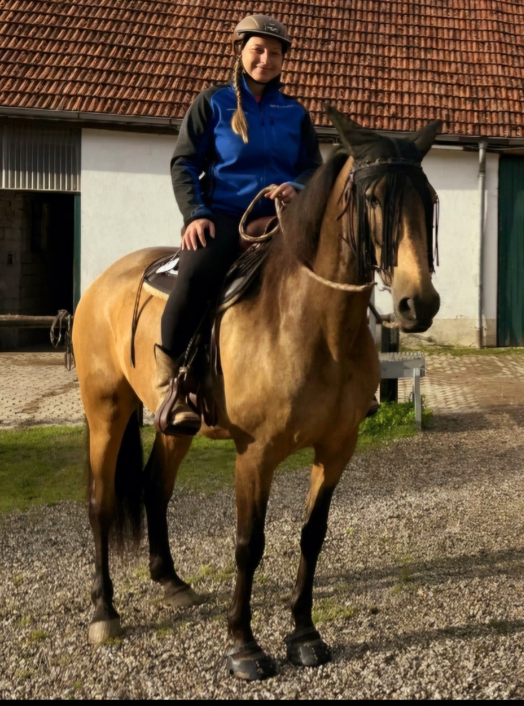 Was andere Pferdebesitzerinnen erlebt haben 14 Angelika mit Cazador