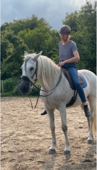 Was andere Pferdebesitzerinnen erlebt haben 13 Carino