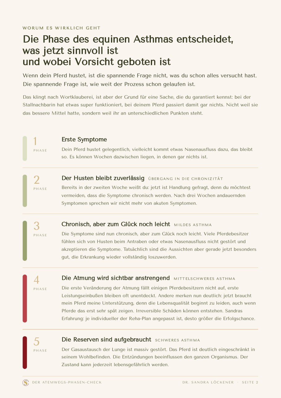 Die fünf Phasen im Überblick